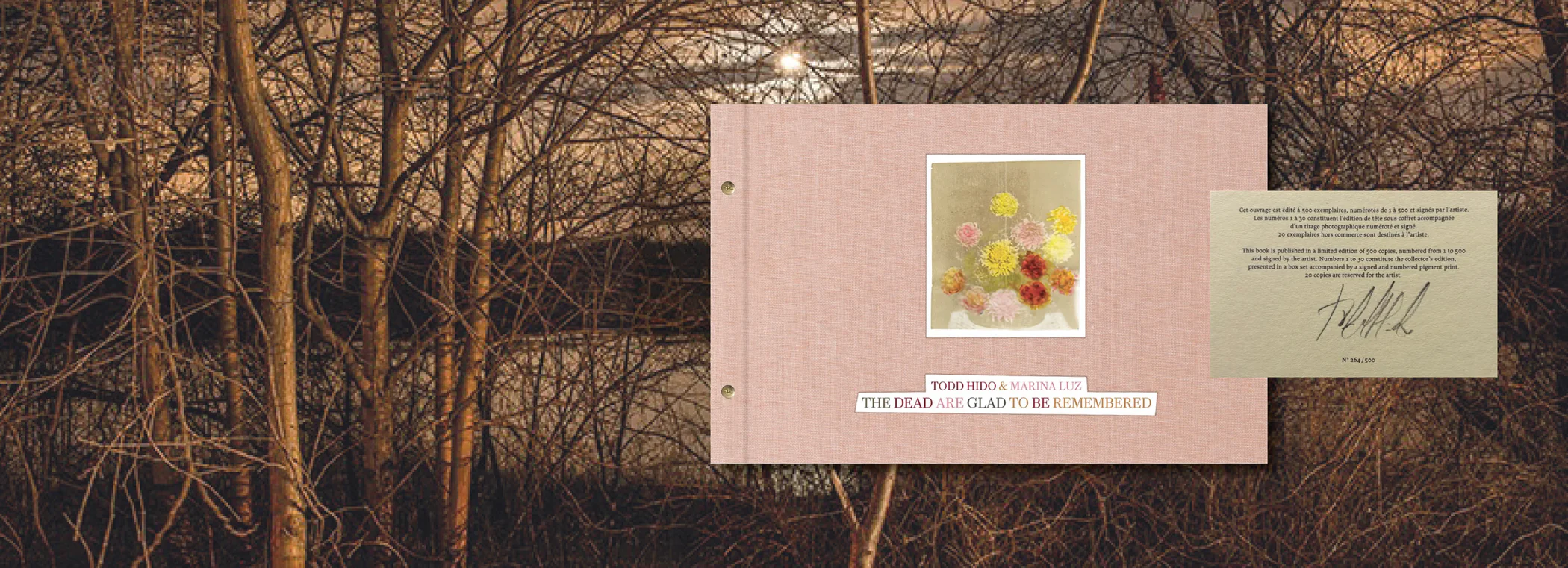 Rare Vision, Captured in Print