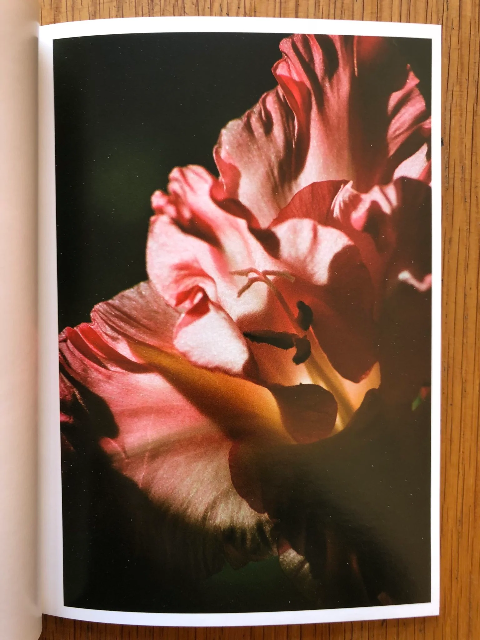 8 - Image 3