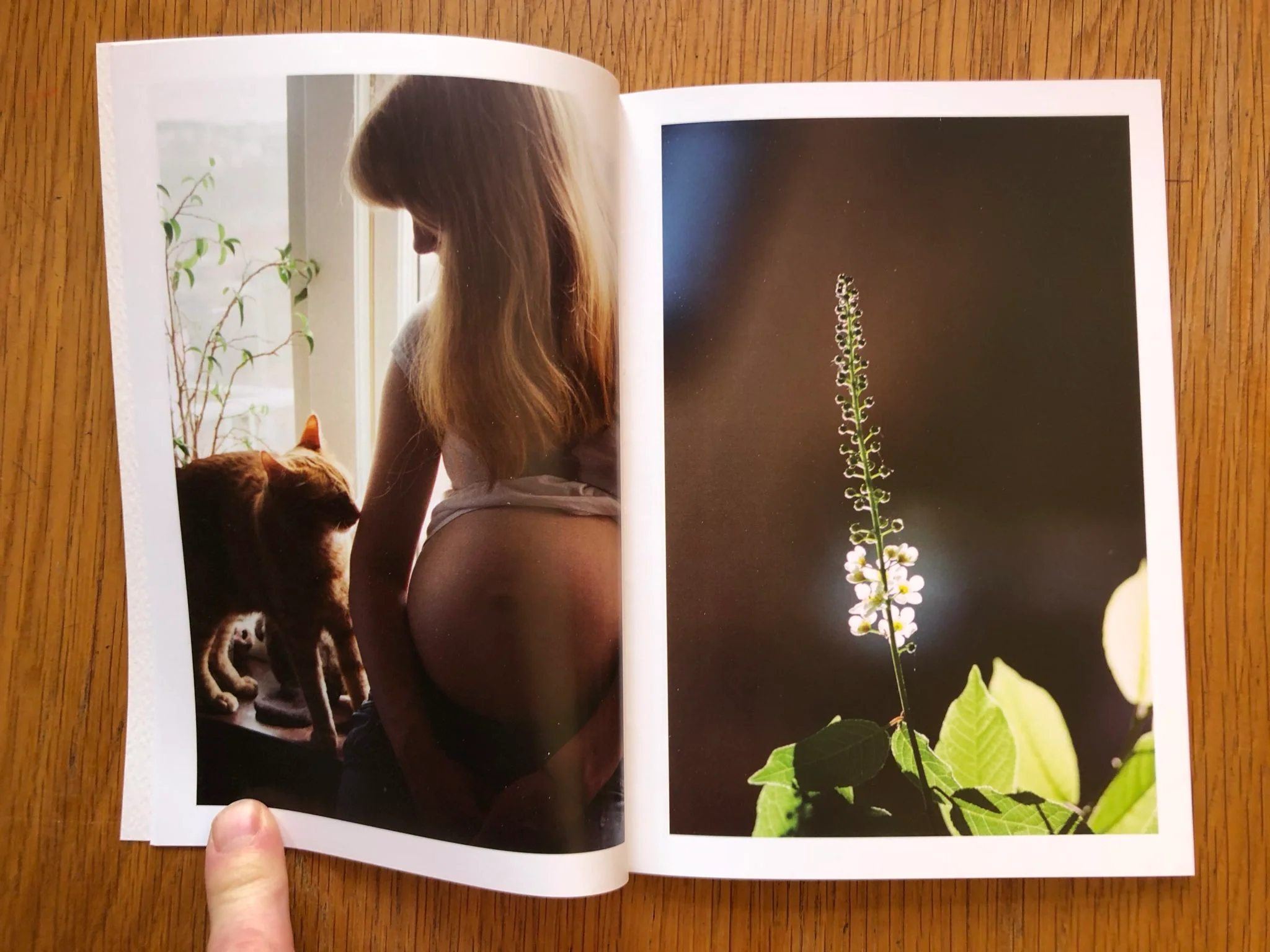 9 - Image 3
