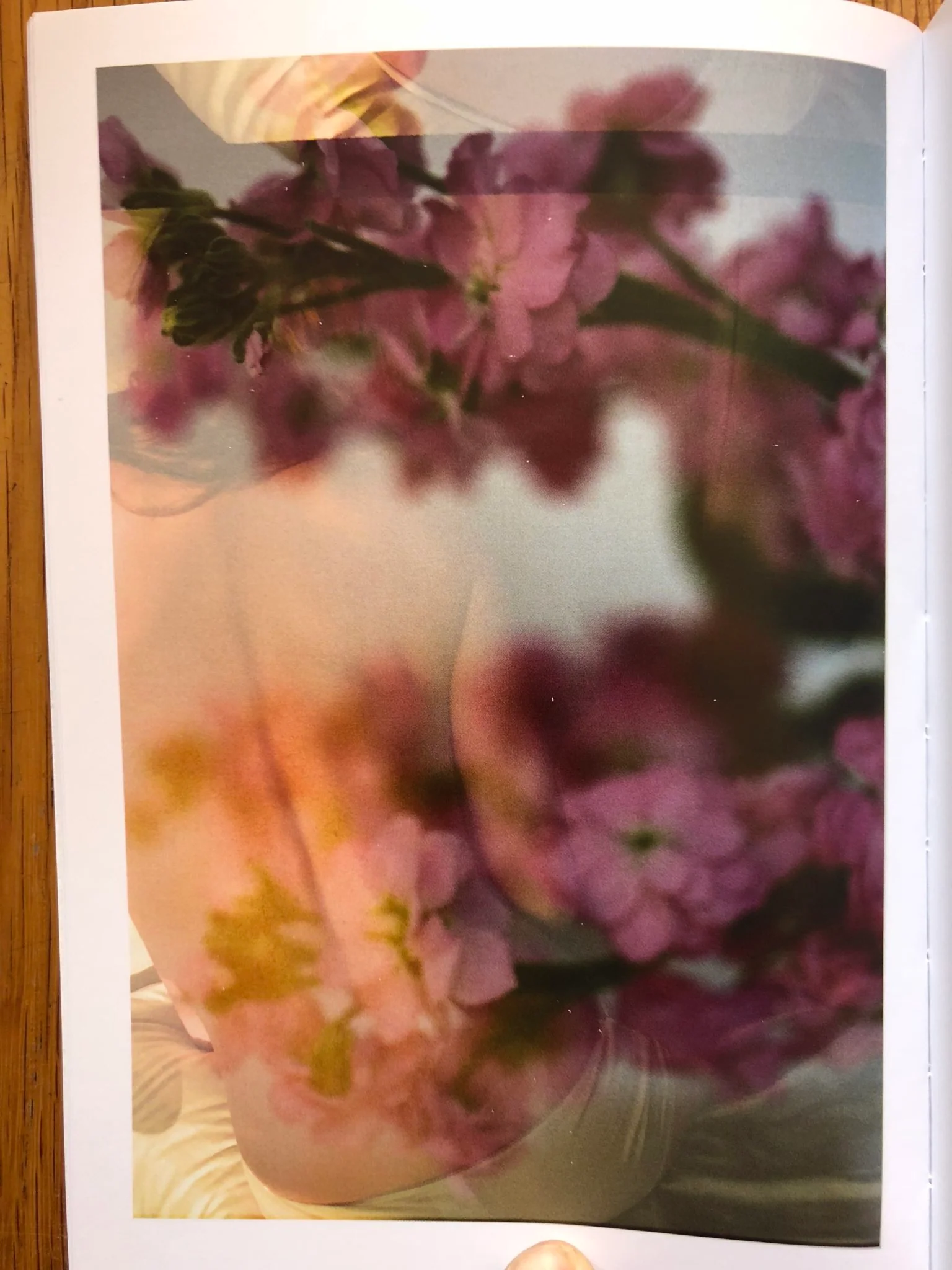 9 - Image 5