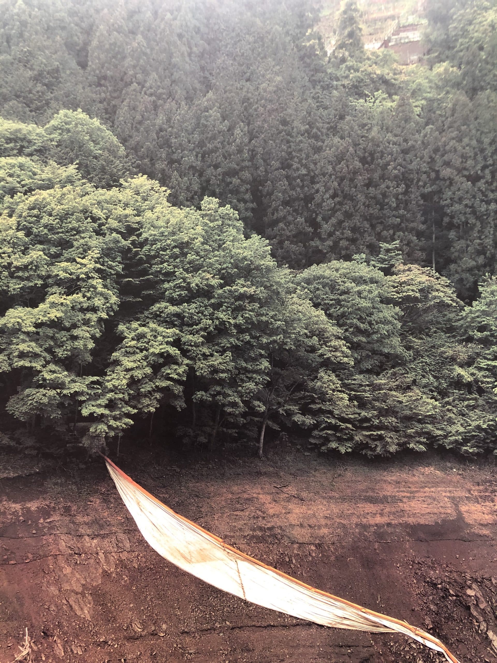 Landscape 2 - Special Edition with a print - Image 7