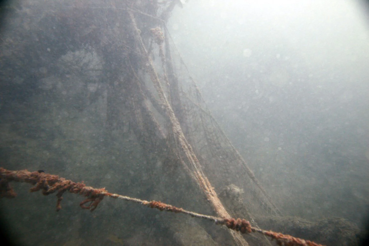 Stranger - Image 4